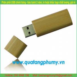 USB gỗ UW5